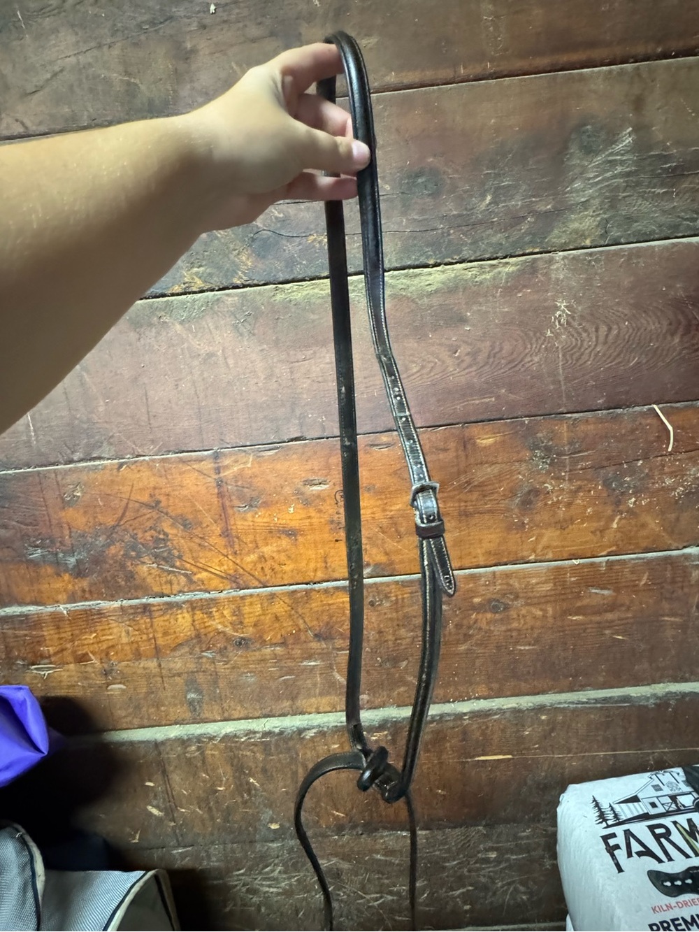 Equestrian pony brown leather standing martingale